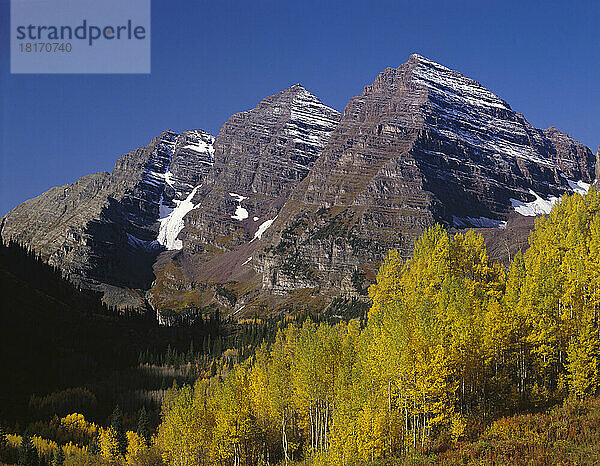 Herbstliche Espen an schroffen Berggipfeln im White River National Forest  Colorado  USA; Colorado  Vereinigte Staaten von Amerika