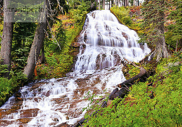 Herbstfarben an den Umbrella Falls im Mount Hood National Forest  Oregon  USA; Oregon  Vereinigte Staaten von Amerika