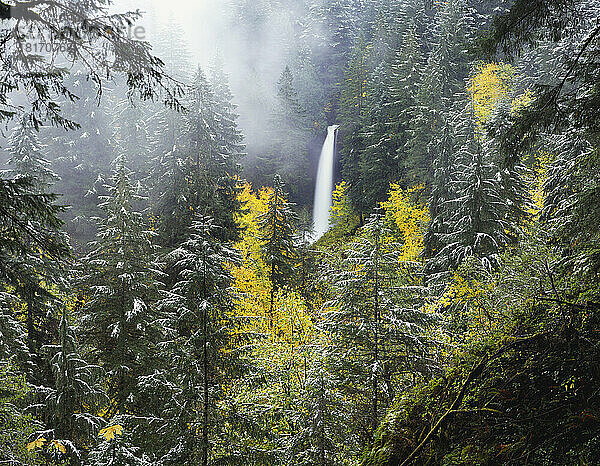 Wasserfall mit Wolken  die über einen Wald mit leichtem Schneegestöber im Silver Falls State Park ziehen; Oregon  Vereinigte Staaten von Amerika