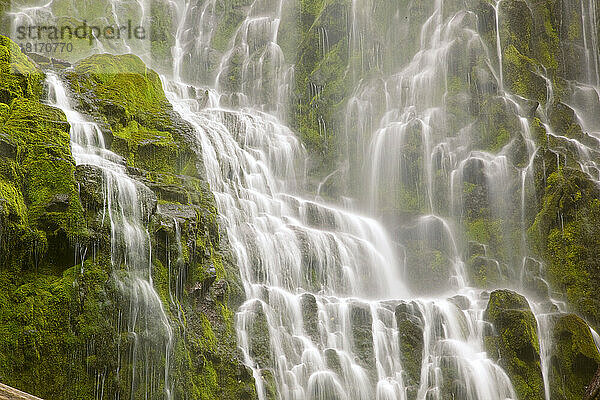 Schöner Wasserfall Proxy Falls im Willamette National Forest; Oregon  Vereinigte Staaten von Amerika