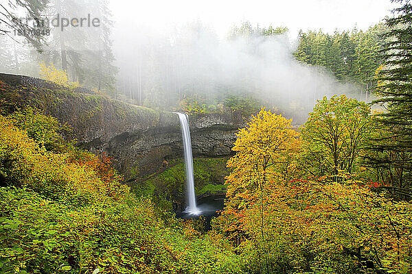 South Falls plätschert in ein Becken mit Nebel und herbstlichem Laub im Silver Falls State Park; Oregon  Vereinigte Staaten von Amerika