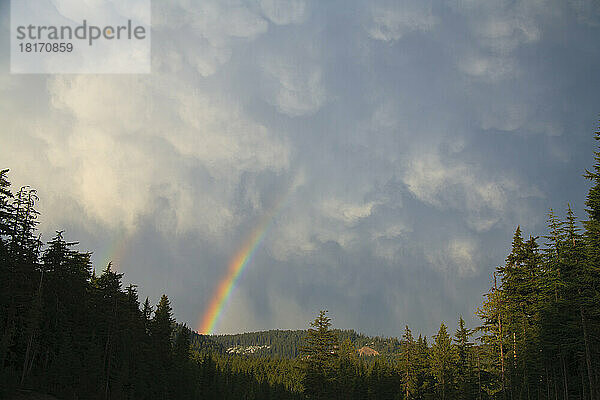 Regenbogen über den Bäumen am Mount Hood in den Oregon Cascades; Oregon  Vereinigte Staaten von Amerika