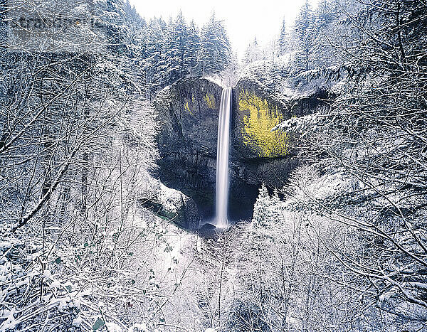 Schnee verleiht den Latourell Falls Schönheit  Columbia River Gorge National Scenic Area; Oregon  Vereinigte Staaten von Amerika