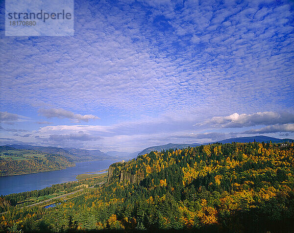 Wolken und herbstlich gefärbtes Laub entlang der Küstenlinie in der Columbia River Gorge; Oregon  Vereinigte Staaten von Amerika