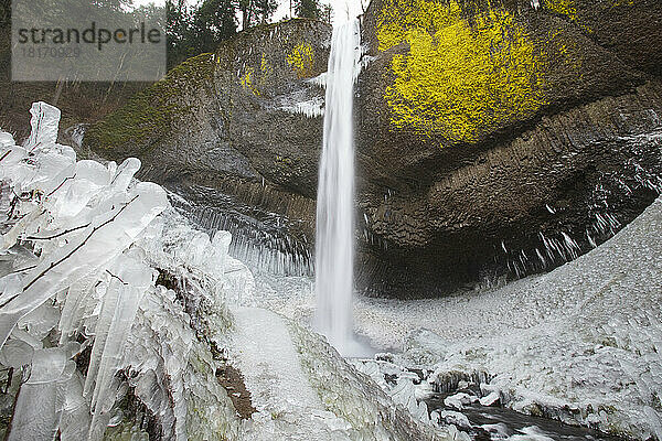 Nahaufnahme von Wintereis nach einem Sturm an den Latourell Falls  Columbia River Gorge National Scenic Area  Oregon  USA; Oregon  Vereinigte Staaten von Amerika