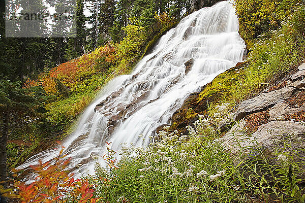 Herbstfarben an den Umbrella Falls im Mount Hood National Forest  Oregon  USA; Oregon  Vereinigte Staaten von Amerika