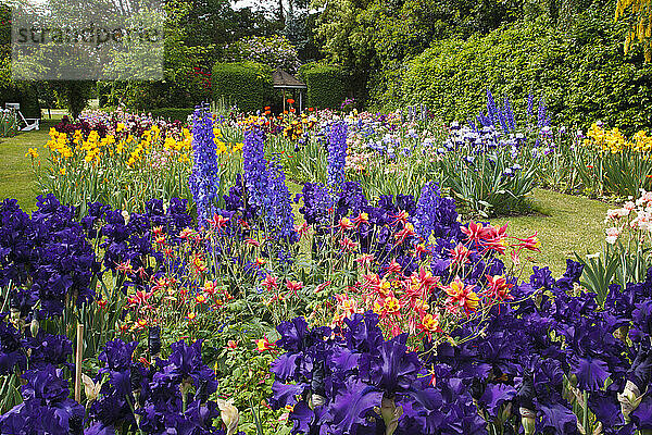 Eine Vielzahl von blühenden Gartenblumen in einer bunten Anordnung in einem Gartenbereich im Willamette Valley; Salem  Oregon  Vereinigte Staaten von Amerika