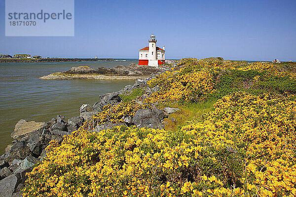 Coquille River Light gegen einen blauen Himmel mit blühendem gelben Laub im Vordergrund entlang der Küste von Oregon im Bullards Beach State Park; Bandon  Oregon  Vereinigte Staaten von Amerika