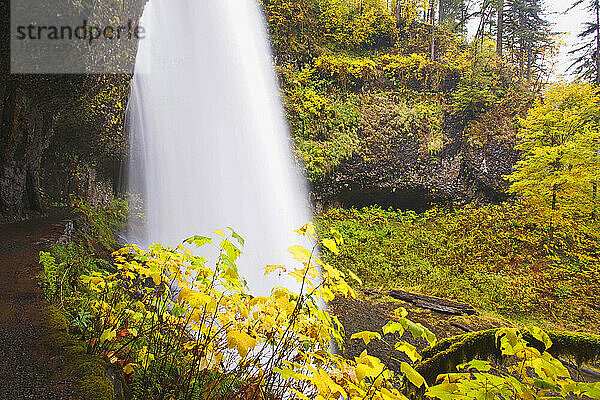 North Middle Falls In Silver Falls State Park; Oregon  Vereinigte Staaten von Amerika