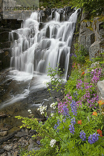 Wildblumen und Sunbeam Falls im Mount Rainier National Park  Washington  USA; Washington  Vereinigte Staaten von Amerika