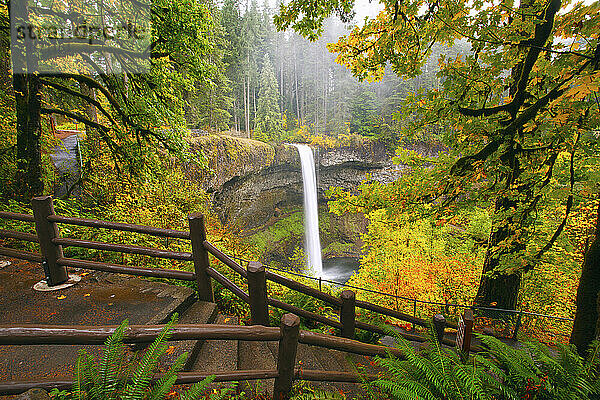 Die Herbstfarben verleihen den South Falls im Silver Falls State Park Schönheit; Oregon  Vereinigte Staaten von Amerika