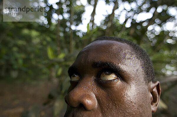 Die Augen eines Mannes auf der Suche nach Affen im Wald auf der Insel Bioko; Süd-Bioko  Äquatorialguinea