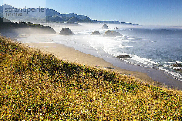 Morgennebel verschönert den Blick auf Cannon Beach und Haystack Rock an der Küste von Oregon vom Ecola State Park aus; Oregon  Vereinigte Staaten von Amerika