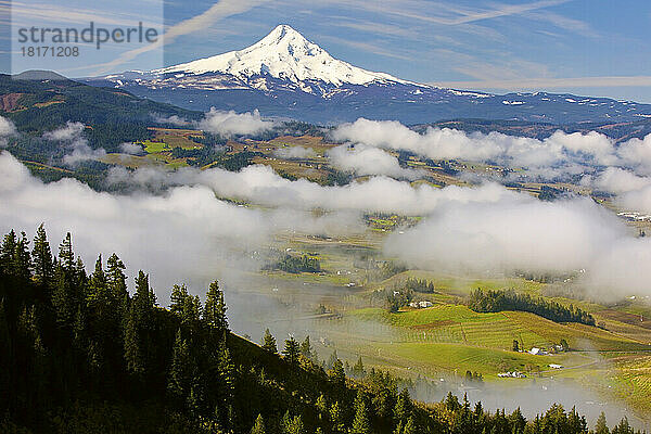 Blauer Himmel hebt den schneebedeckten Mount Hood und Wolken über dem Hood River Valley hervor  Oregon  USA; Oregon  Vereinigte Staaten von Amerika