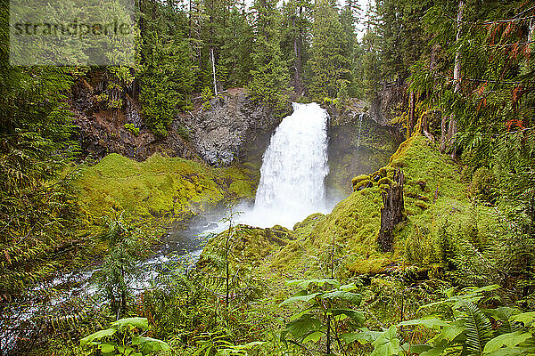 Sahalie Falls und Mckenzie River im Willamette National Forest; Oregon  Vereinigte Staaten von Amerika