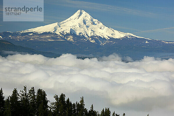 Blauer Himmel hebt den schneebedeckten Mount Hood hervor und Morgennebel liegt über dem Hood River Valley  Oregon  USA; Oregon  Vereinigte Staaten von Amerika