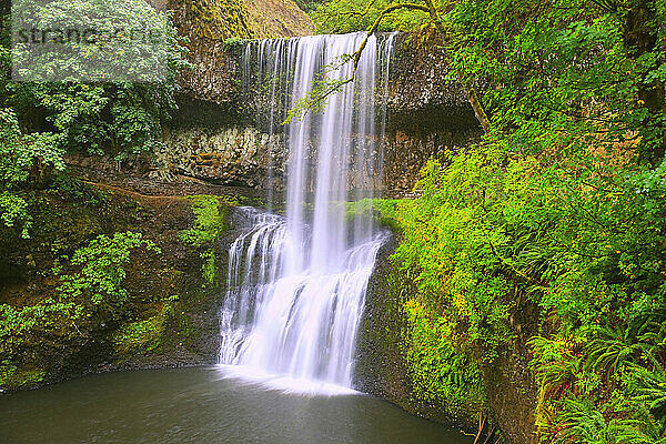 Untere Südfälle im Silver Falls State Park am Oregon Trail; Oregon  Vereinigte Staaten von Amerika