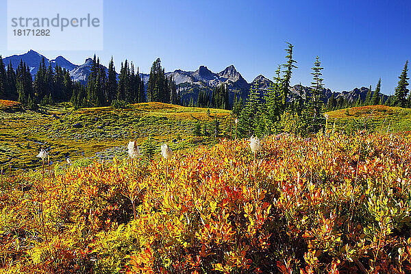 Schöne Herbstfarben und Tatoosh Mountains in Mt. Rainier National Park; Washington  Staat Vereinigte Staaten von Amerika