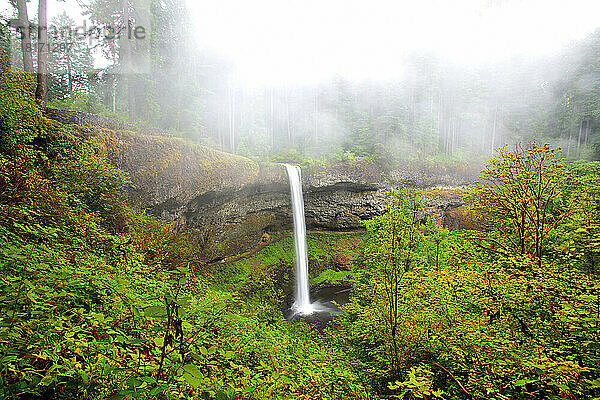 South Falls plätschert in ein Becken mit Nebel und herbstlichem Laub im Silver Falls State Park; Oregon  Vereinigte Staaten von Amerika