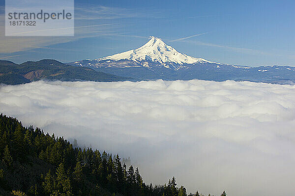 Blauer Himmel hebt den schneebedeckten Mount Hood hervor und Wolken bedecken das Hood River Valley  Oregon  USA; Oregon  Vereinigte Staaten von Amerika