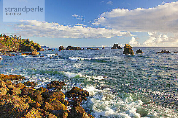 Felsformationen im Pazifischen Ozean am Indian Beach an der Küste von Oregon; Oregon  Vereinigte Staaten von Amerika