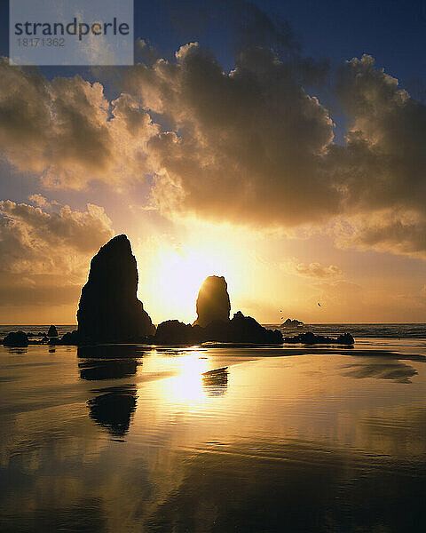 Silhouettierter Haystack Rock und andere Felsen im pazifischen Ozean bei Cannon Beach bei Sonnenuntergang  Küste von Oregon; Cannon Beach  Oregon  Vereinigte Staaten von Amerika