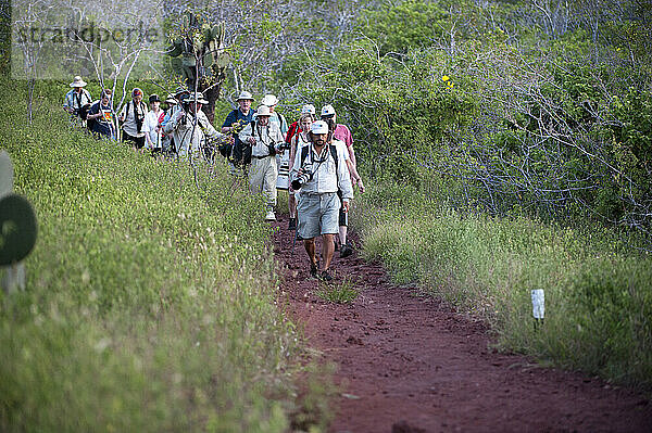 Eine Gruppe von Touristen wagt sich auf einen Wanderweg auf der Insel Rabida im Galapagos-Nationalpark. Alle Gäste müssen die ganze Zeit beim Führer und auf den Wegen bleiben  um die Auswirkungen auf den Lebensraum im Park zu verringern; Insel Rabida  Galapagos-Nationalpark  Galapagos-Inseln  Ecuador.