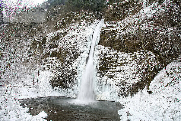 Schnee- und Eisformationen im Winter an den Horse Tail Falls in der Columbia River Gorge Natural Scenic Area; Oregon  Vereinigte Staaten von Amerika