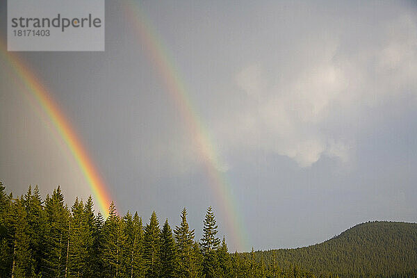 Doppelte Regenbögen über den Bäumen am Mount Hood in den Oregon Cascades; Oregon  Vereinigte Staaten von Amerika