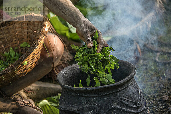 Kochen von Grünzeug in Karawari  in der Sepik-Region von Papua-Neuguinea; Sepik  Papua-Neuguinea