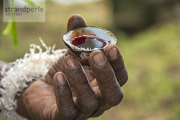 Im Dorf Kofure in Papua-Neuguinea wird der rote Saft der Beeren in Teilen einer Nuss aufgefangen und zur Gesichtsbemalung verwendet; Kofure  Karafe District  Papua-Neuguinea