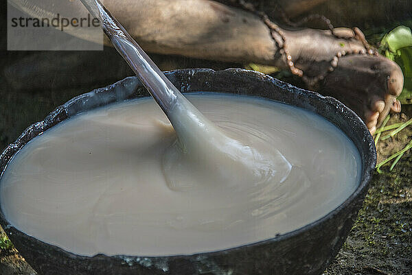 Rühren einer Speise aus Sago in Karawari  in der Sepik-Region von Papua-Neuguinea. Sago wird in Form von Mehl hergestellt  das normalerweise aus der Palme gewonnen wird. Sago ist ein gängiger Bestandteil der Küche Papua-Neuguineas  da die Stärkezutat in mehreren traditionellen Gerichten wie Pfannkuchen und Pudding enthalten ist; Sepik  Papua-Neuguinea