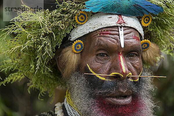 Stammesangehöriger einer Huli-Gemeinschaft im Tari-Tal im südlichen Hochland von Papua-Neuguinea; Tigibi  südliches Hochland  Papua-Neuguinea