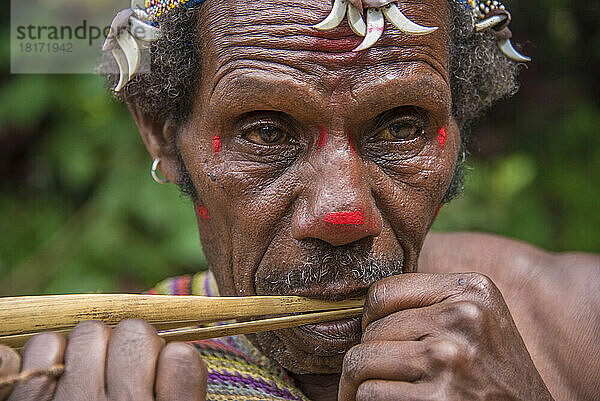 Mitglied des Huli-Stammes im Tari-Tal im südlichen Hochland von Papua-Neuguinea; Tigibi  südliches Hochland  Papua-Neuguinea