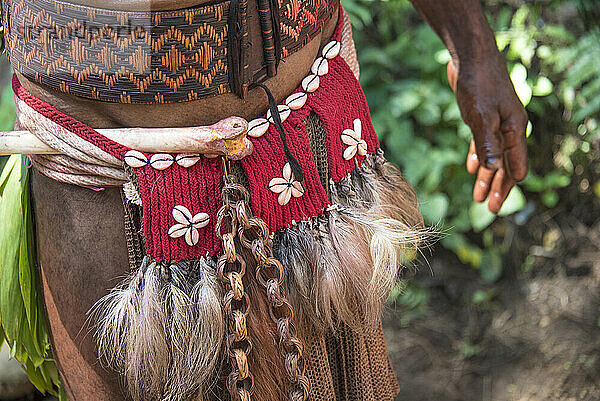 Taillenschmuck eines Huli-Stammesangehörigen im Tari-Tal im südlichen Hochland von Papua-Neuguinea; Wabia  südliches Hochland  Papua-Neuguinea