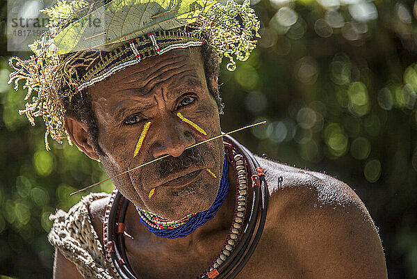 Mitglied des Huli-Stammes im Tari-Tal im südlichen Hochland von Papua-Neuguinea; Tigibi  südliches Hochland  Papua-Neuguinea