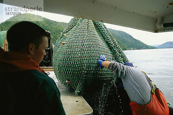 Ein mit Fischen beladenes Ringwadennetz wird von einer Bootsbesatzung in Clayoquot Sound  BC  Kanada  inspiziert; British Columbia  Kanada