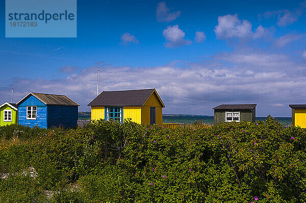 Feld- und Strandhütten  Aeroskobing  Aero Island  Halbinsel Jütland  Region Syddanmark  Dänemark  Europa