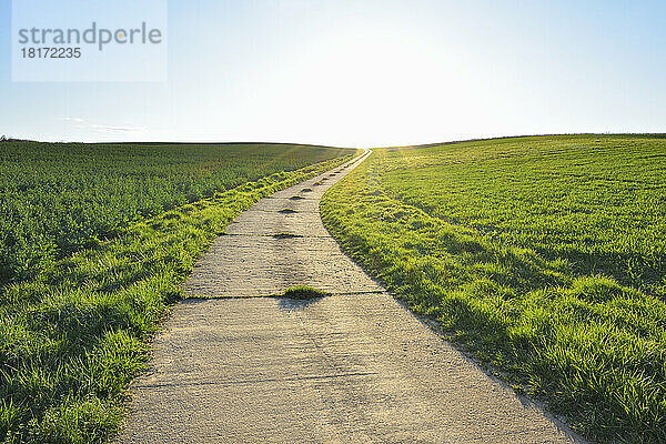 Straße durch Feld mit Sonne  Helmstadt  Franken  Bayern  Deutschland