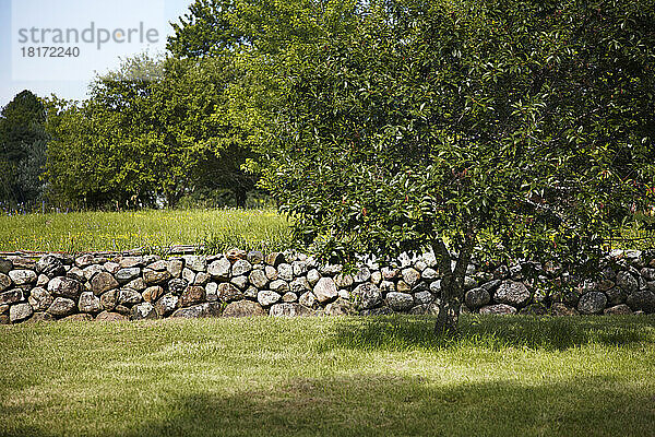 Steinmauer im grünen Feld mit Bäumen im Sommer  Ontario  Kanada