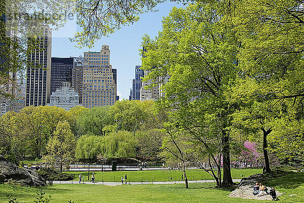 Central Park im Frühling  NYC  New York  USA