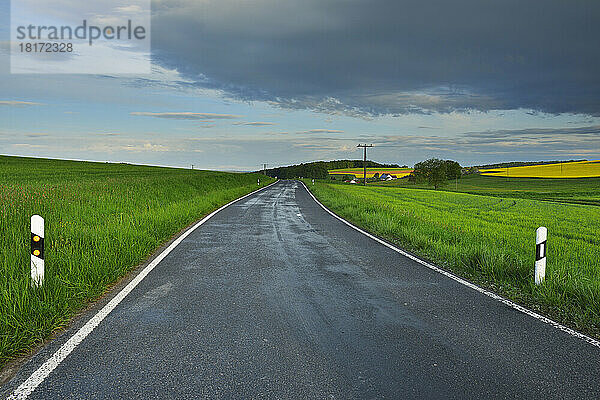 Landstraße im Frühling  Reichartshausen  Amorbach  Odenwald  Bayern  Deutschland