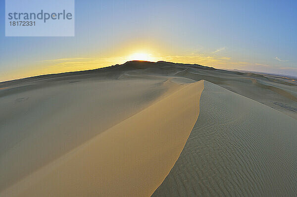 Sanddüne bei Sonnenaufgang  Gouvernement Matruh  Libysche Wüste  Sahara  Ägypten  Afrika