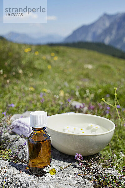 Homeopathic Medicine and Chamomile  Strobl  Salzburger Land  Austria