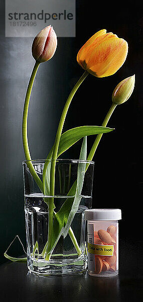 Nahaufnahme eines Wasserglases mit Tulpen und einer Flasche Pillen  Medikamenten  Studioaufnahme auf schwarzem Hintergrund