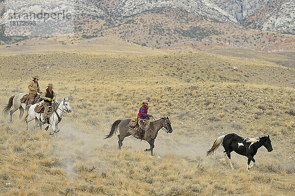 Cowboy und Cowgirls hüten Pferde in der Wildnis  Rocky Mountains  Wyoming  USA