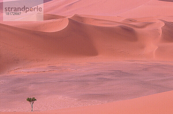 Namib-Wüste  Sossusvlei  Namibia