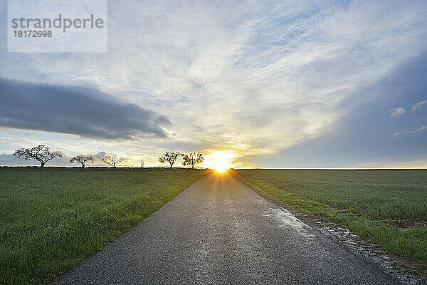 Landstraße bei Sonnenaufgang  Schippach  Miltenberg  Odenwald  Bayern  Deutschland