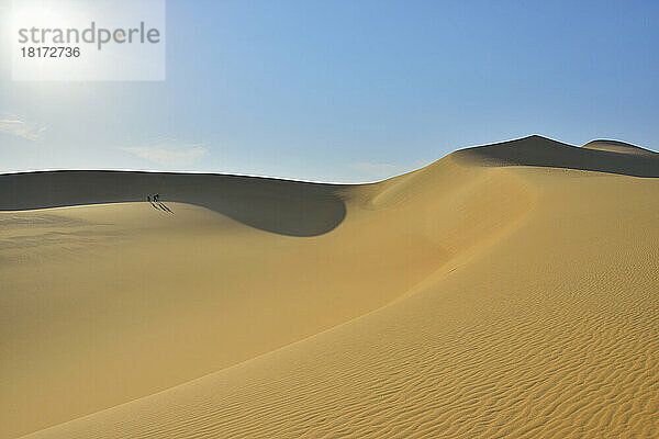 Malerischer Blick auf die Sanddüne mit Sonne  Matruh  das Große Sandmeer  die libysche Wüste  die Sahara  Ägypten  Nordafrika  Afrika