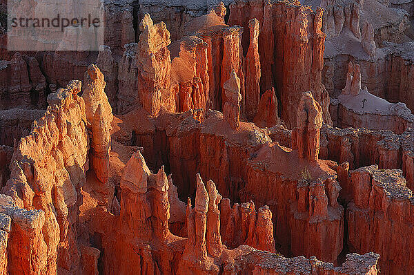 Hoodoos der Claron-Formation bei Sonnenaufgang im Bryce-Canyon-Nationalpark  Utah  USA